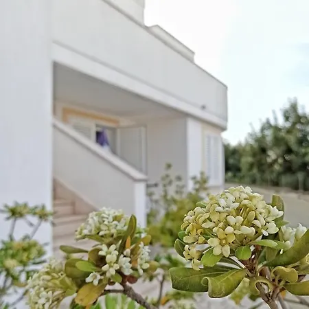 Bellevue Aparthotel